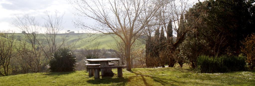 Agriturismo Castello Saltemnano Buonconvento Exterior foto