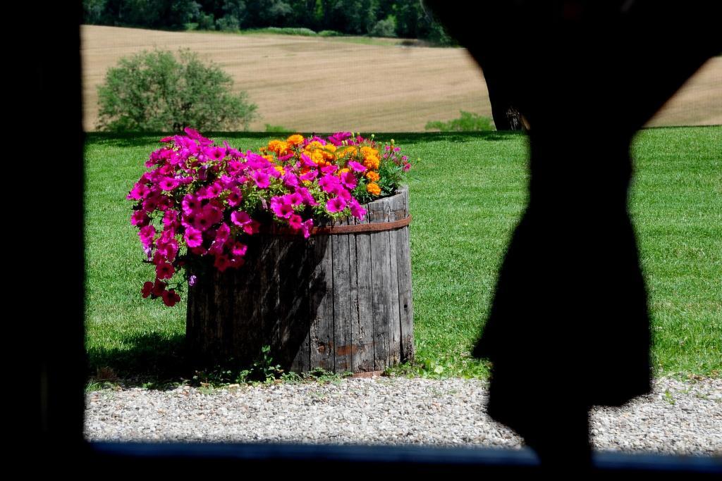 Agriturismo Castello Saltemnano Buonconvento Zimmer foto