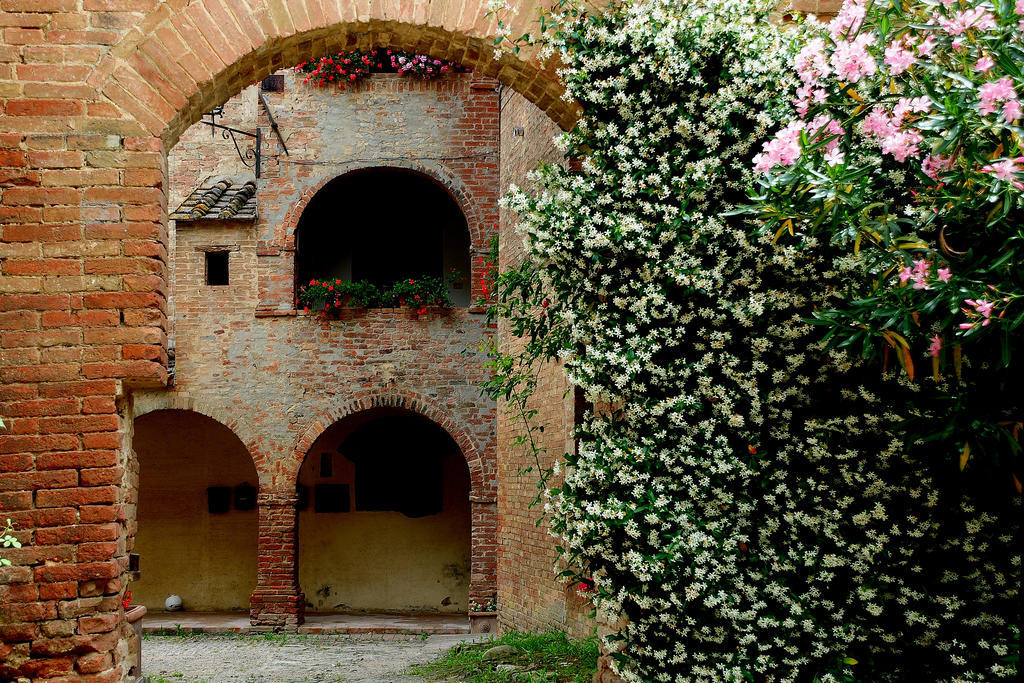 Agriturismo Castello Saltemnano Buonconvento Exterior foto